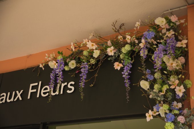 Embellissement photo 9